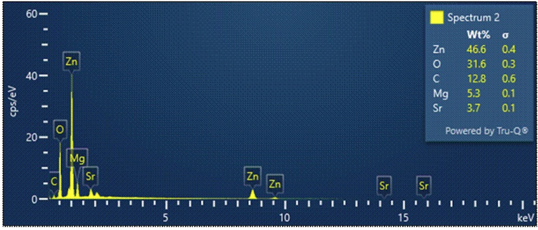 Strontium-Zinc conversion coating on magnesium plates for resorbable tack screws in guided bone regeneration: Characterization and biocompatibility evaluation.