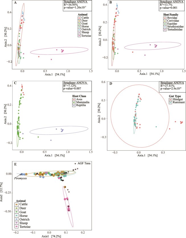 Anaerobic gut fungal community in ostriches (<i>Struthio camelus</i>).