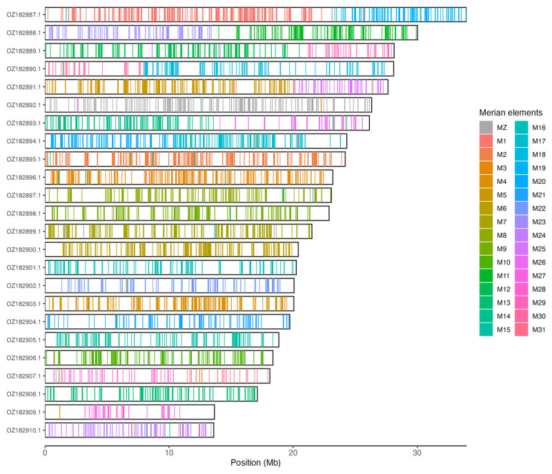 The genome sequence of the Violet Copper, <i>Helleia helle</i> (Denis & Schiffermüller), 1776 (Lepidoptera: Lycaenidae).