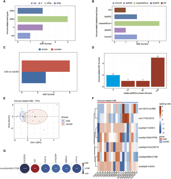 RNA binding proteins potentially regulate alternative splicing of immune-related genes during the progression of coronary artery disease.