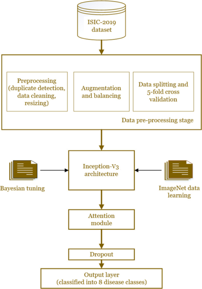 Enhancing dermoscopic pigmented skin lesion classification: A refined approach using the pre-trained Inception-V3 architecture.