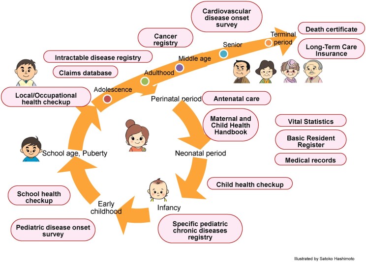 Cohort Profile Update: The Tohoku Medical Megabank Project Birth and Three-Generation Cohort Study (TMM BirThree Cohort Study) 2023 update.