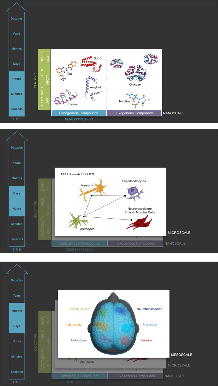 A brain health framework with application to the study of neurodegeneration.