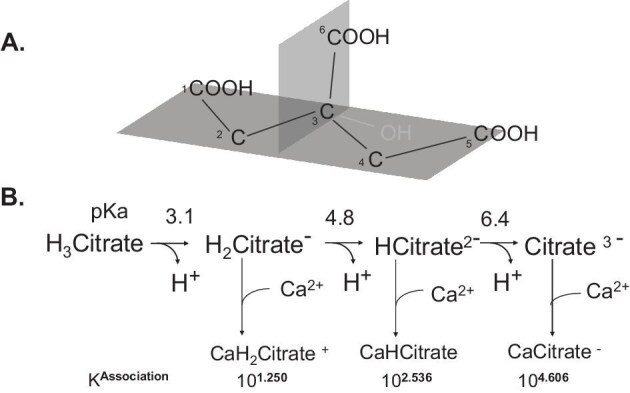 Citrate and calcium kidney stones.