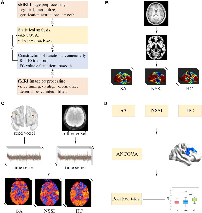 Altered local gyrification index and corresponding functional connectivity in female depressed adolescents with suicide attempts and non-suicidal self-injury.
