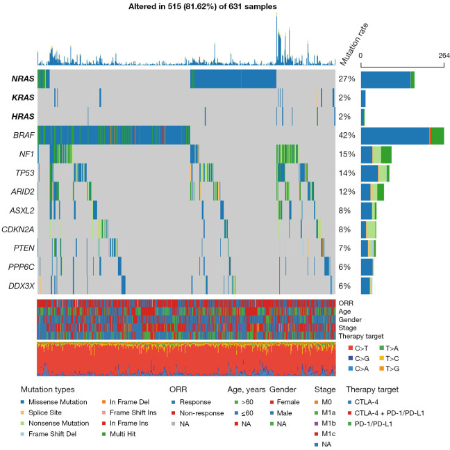 Clinical immunotherapeutic significance of <i>RAS</i> gene mutations in melanoma.