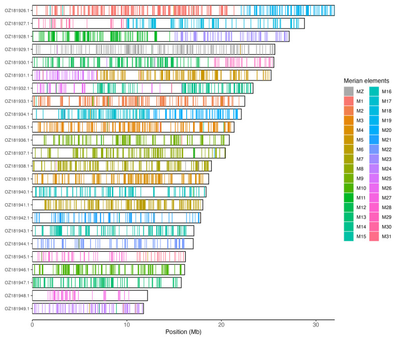 The genome sequence of the Scarce Copper, <i>Lycaena virgaureae</i> (Linnaeus, 1758) (Lepidoptera: Lycaenidae).