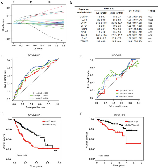 A novel prognostic model based on endoplasmic reticulum stress-associated E3 ligases and deubiquitinating enzymes in hepatocellular carcinoma.