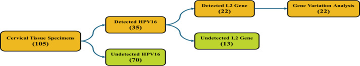 Genetic variations of the <i>L2</i> gene in human papillomavirus (HPV) type 16 from cervical cancer patients in Sumatra region, Indonesia.