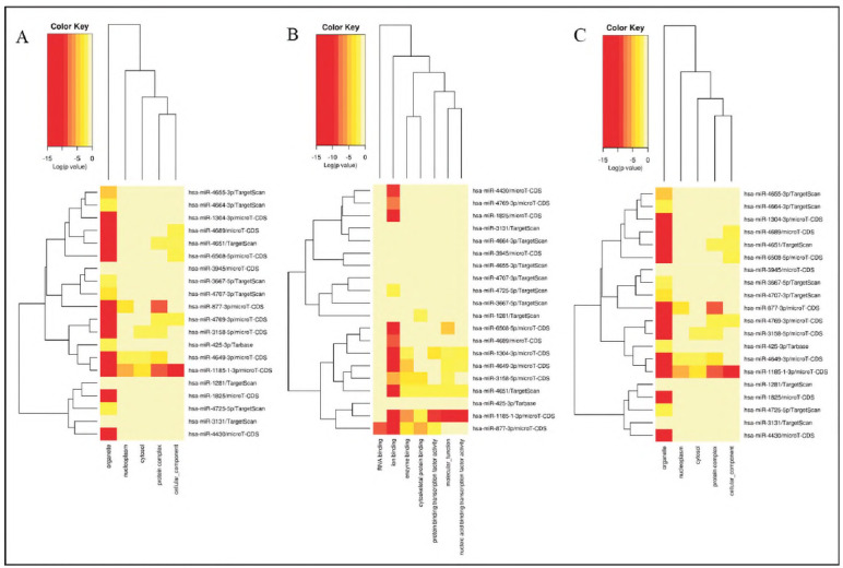 Differently expressed miRNA in plasma samples of immune thrombocytopenic purpura patients and its clinical significance.