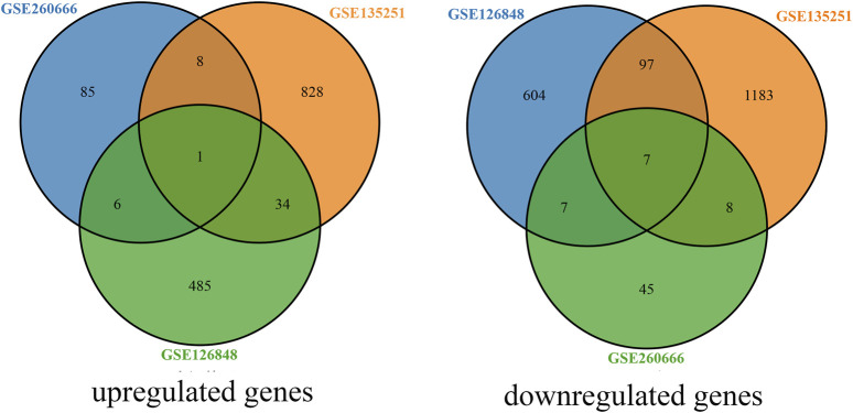 Identifying novel therapeutic targets for non-alcoholic fatty liver disease using bioinformatics approaches: from drug repositioning to traditional Chinese medicine.