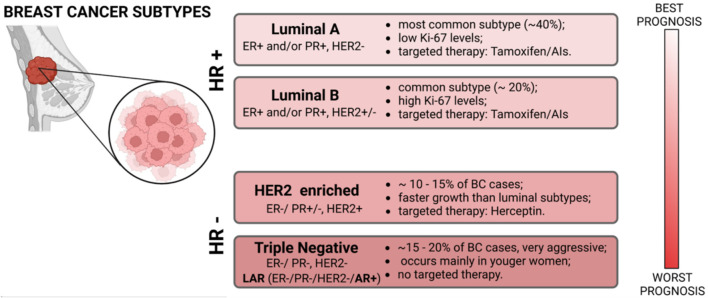 Non-coding RNAs as novel biomarkers and therapeutic targets in breast cancer.