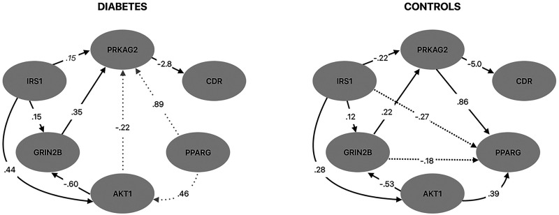 The expression of insulin signaling and N-methyl-D-aspartate receptor genes in areas of gray matter atrophy is associated with cognitive function in type 2 diabetes.