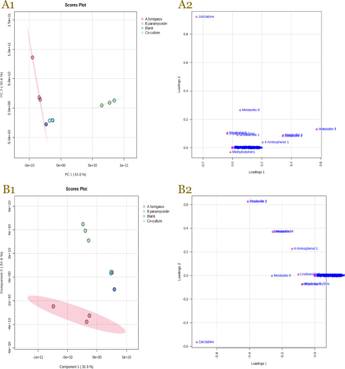 Metabolomic profiling and antimicrobial investigation of <i>Aspergillus fumigatus</i> LBKURCC269 and <i>Bacillus paramycoides</i> LBKURCC218 co-culture.