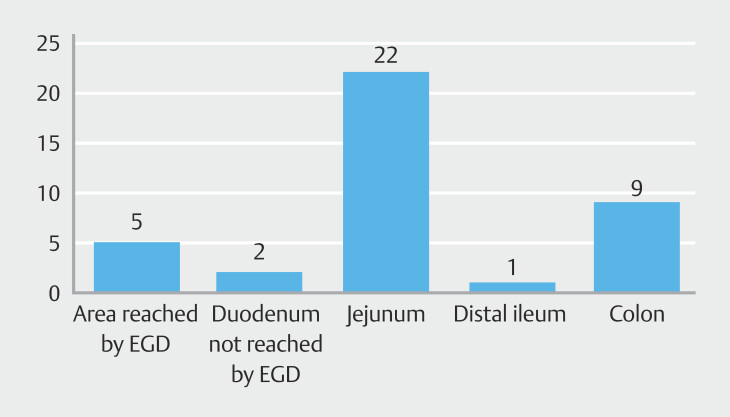 Push enteroscopy and colonoscopy in melena patients with negative esophagogastroduodenoscopy: Prospective multicenter study.