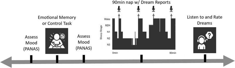 Experimentally inducing dreams of remote emotional memory.