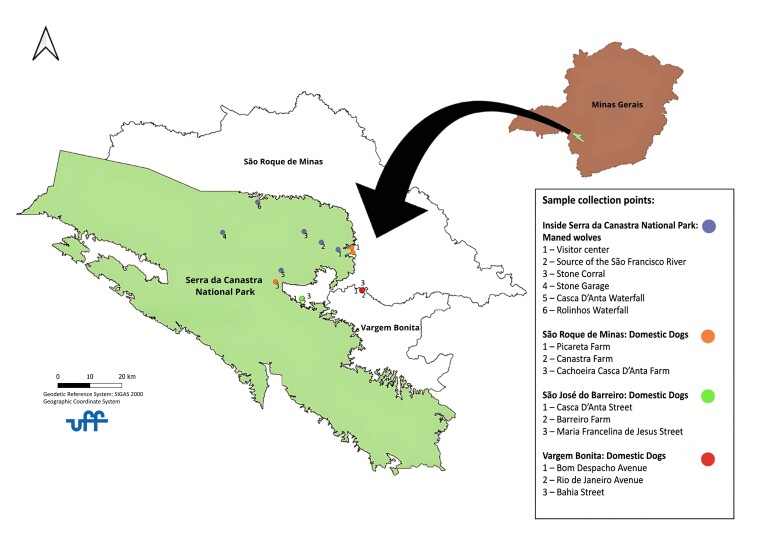 Prevalence of parasitism in fecal samples from maned wolves (Chrysocyon brachyurus) and domestic dogs in the region of Serra da Canastra National Park, MG.
