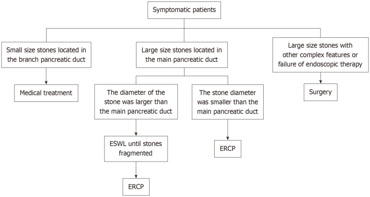 Mechanism and treatment of pancreatic duct stones.