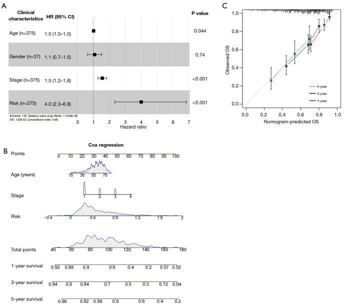 A novel prognostic model based on endoplasmic reticulum stress-associated E3 ligases and deubiquitinating enzymes in hepatocellular carcinoma.