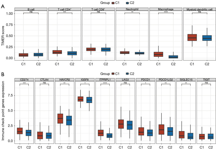 Identification of mechanosensitive ion channel-related molecular subtypes and key genes for ovarian cancer.