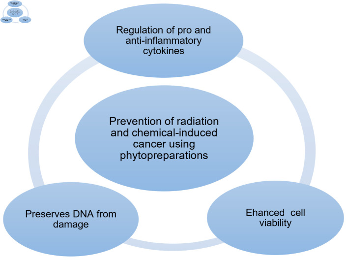 Prevention of Chromium-Induced Radiation-Chemical Oncogenesis, Including in Offspring, in an Experimental Model: A Systematic Review.