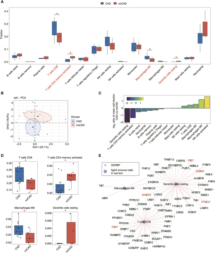 RNA binding proteins potentially regulate alternative splicing of immune-related genes during the progression of coronary artery disease.