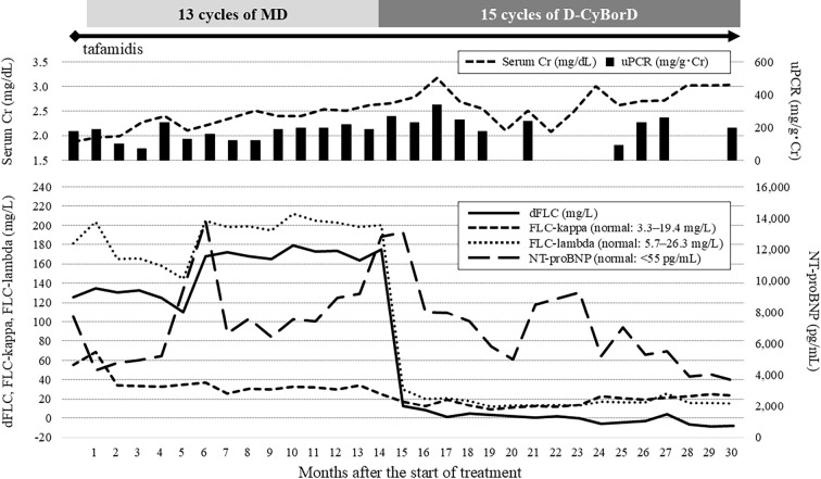 Concurrent Therapy for Immunoglobulin Light Chain Cardiac Amyloidosis and Transthyretin Cardiac Amyloidosis.