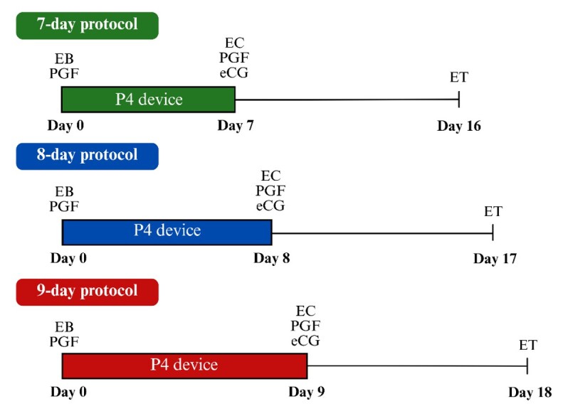 Pregnancy loss in cattle with emphasis on embryo transfer programs.