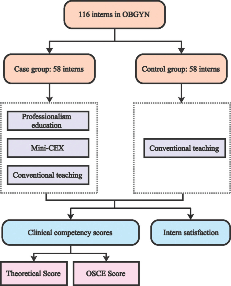 Impact of professionalism education integrated with mini-CEX on clinical competency in obstetrics and gynecology clerkships: A brief report.