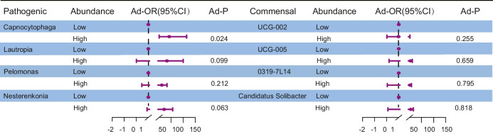 Development of a predictive framework for ovarian reserve decline based on pelvic microbiota dysbiosis.
