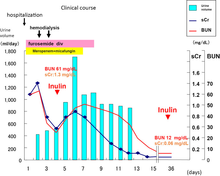 Duchenne Muscular Dystrophy with Extreme Emaciation and a Discrepancy between Cystatin C-based eGFR and Inulin Clearance.