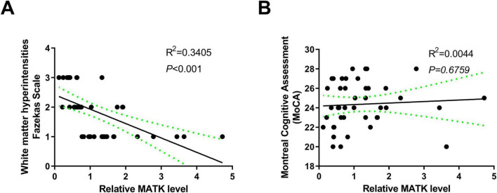 The expression and association of MATK in chronic hypoperfusion patients with white matter hyperintensity.