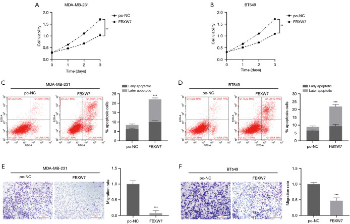 Erratum to downregulation of miR-182-5p inhibits the proliferation and invasion of triple-negative breast cancer cells through regulating TLR4/NF-κB pathway activity by targeting FBXW7.