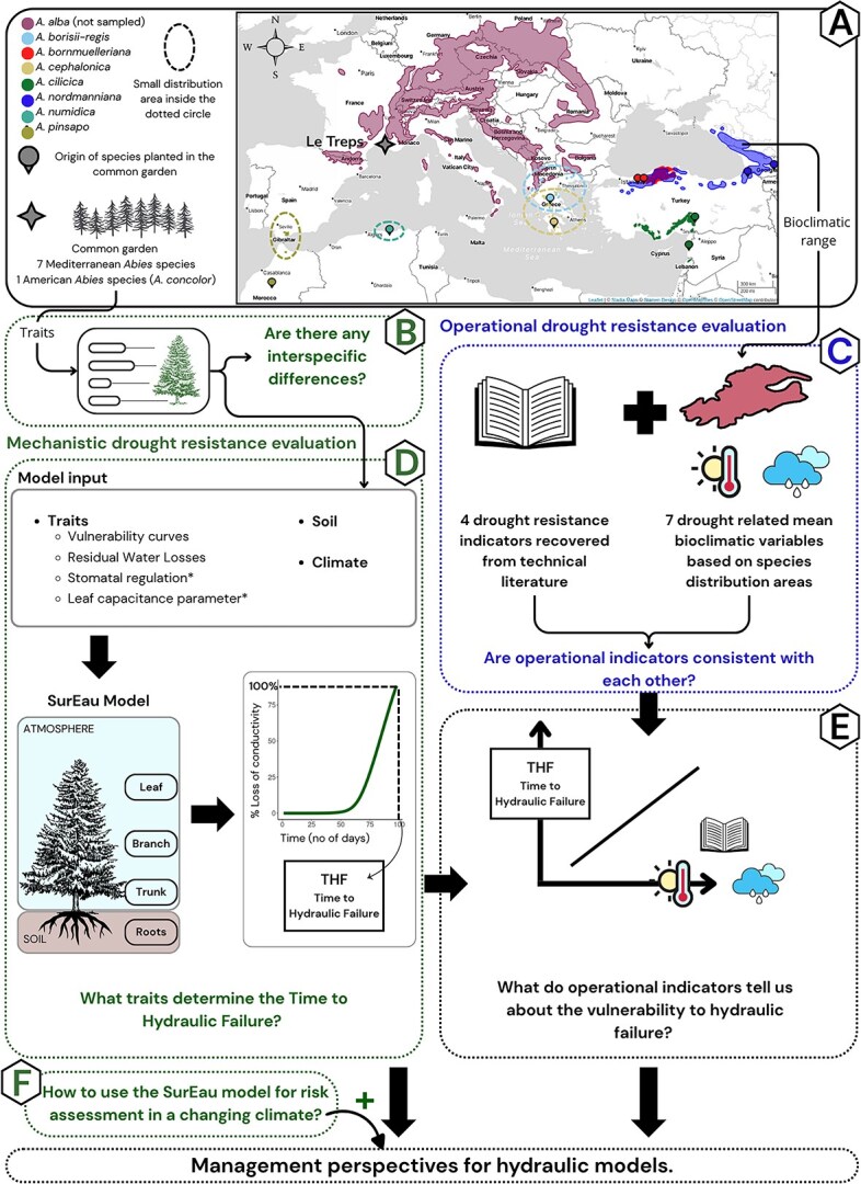 Beyond proxies: towards ecophysiological indicators of drought resistance for forest management.