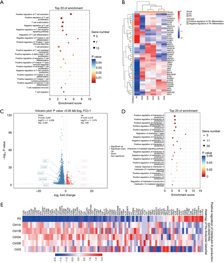 The impact of NF-κB2 mutations on Tfh cell differentiation and their critical role in immune function.