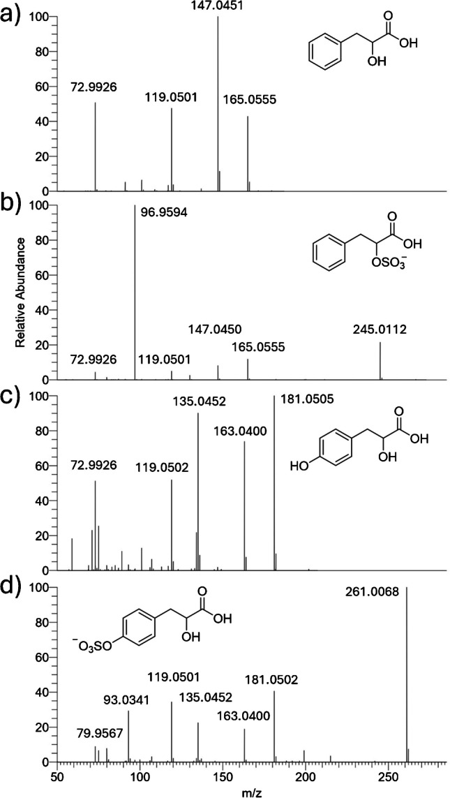 Comprehensive profiling of sulfated phenolic compounds in edible and infesting seaweeds by a dedicated software-assisted platform