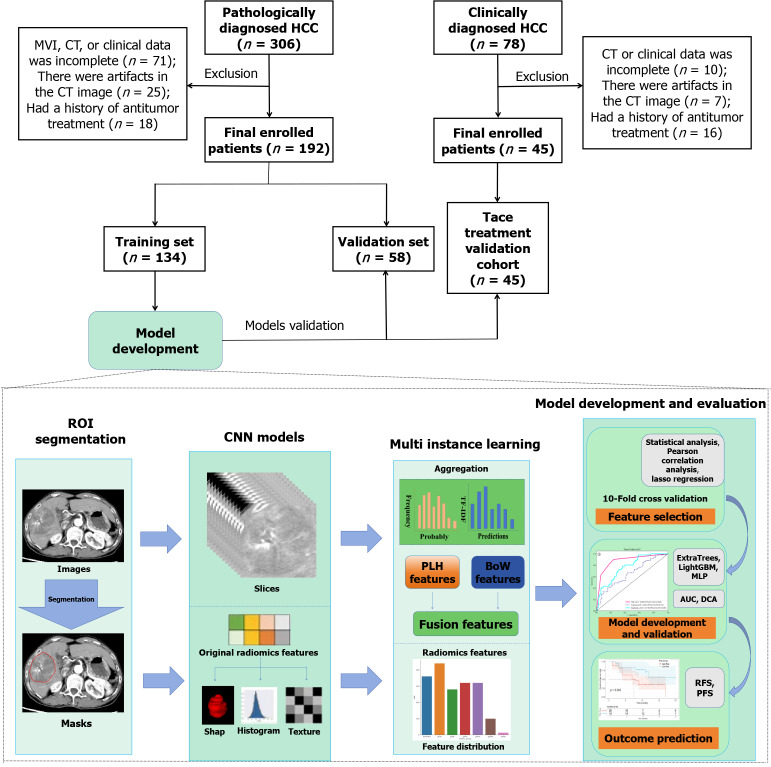 Computed tomography-based deep learning and multi-instance learning for predicting microvascular invasion and prognosis in hepatocellular carcinoma.