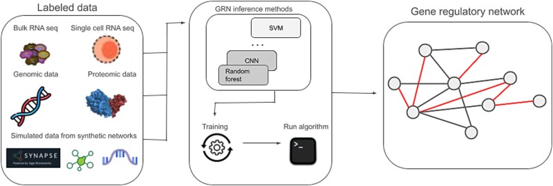Machine learning methods for gene regulatory network inference.