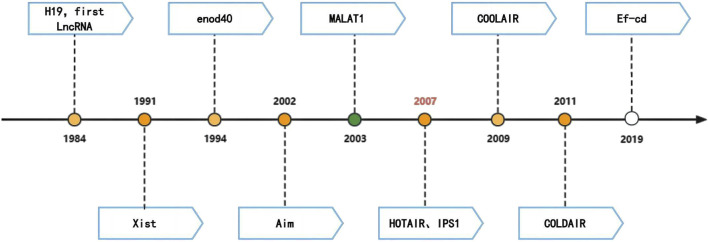 The emerging role of exosomal LncRNAs in chronic fatigue syndrome: from intercellular communication to disease biomarkers.