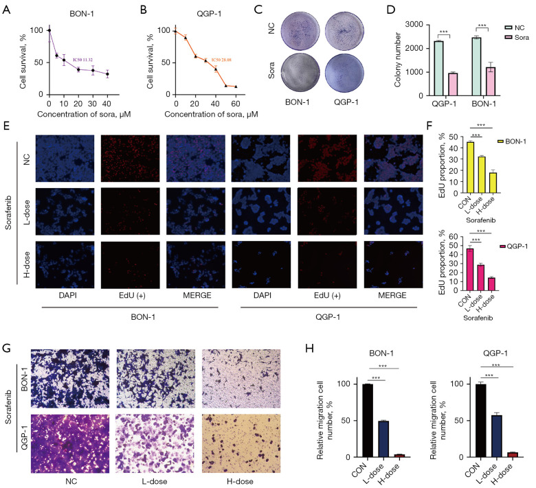 Enhanced antitumor efficacy of sorafenib and everolimus combination in pancreatic neuroendocrine neoplasms through mTOR inhibition.