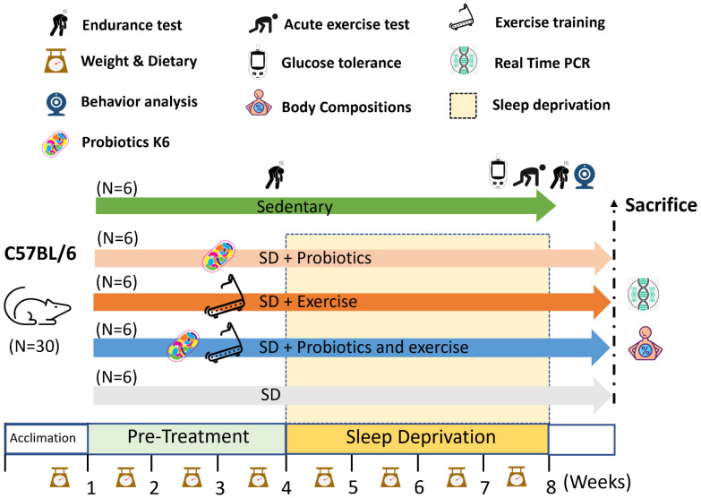 The probiotic <i>Lactobacillus kefiranofaciens</i> K6 alleviates exercise and sleep deprivation-induced physiological dysregulation and neuropsychiatric disorders via modulation of inflammation, circadian rhythm, and stress response.