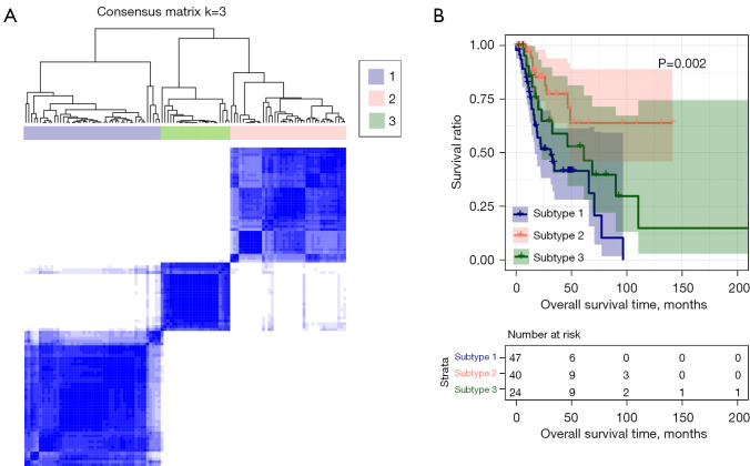 A novel risk score model incorporating six co-stimulatory molecules for accurate prognosis prediction of laryngeal cancer.