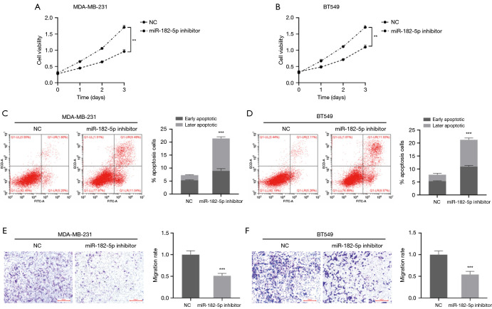 Erratum to downregulation of miR-182-5p inhibits the proliferation and invasion of triple-negative breast cancer cells through regulating TLR4/NF-κB pathway activity by targeting FBXW7.