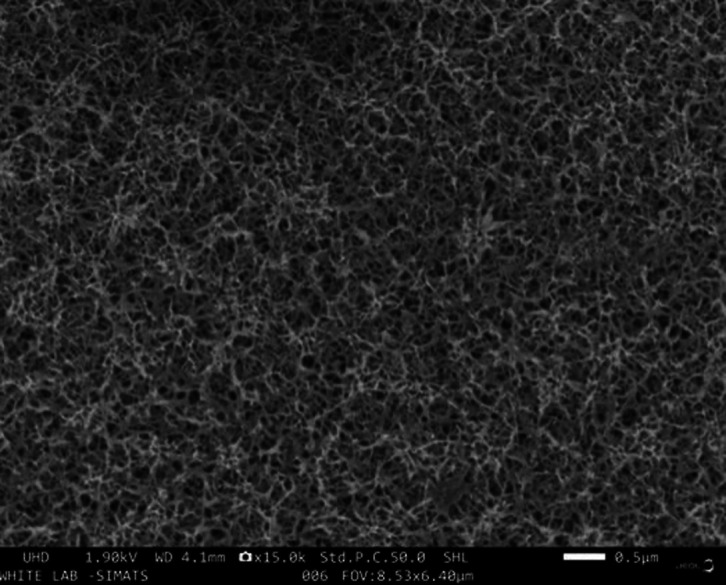 Strontium-Zinc conversion coating on magnesium plates for resorbable tack screws in guided bone regeneration: Characterization and biocompatibility evaluation.