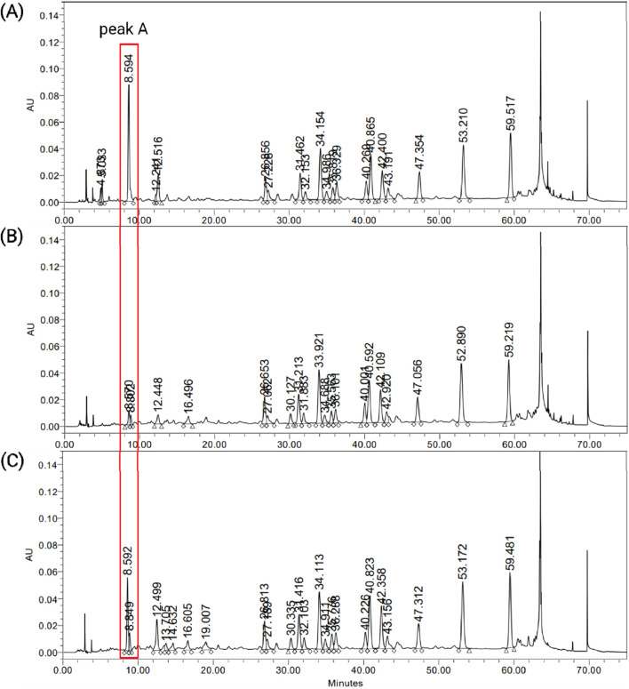 Optimized <i>Ginkgo biloba</i> extract EGb 761<sup>®</sup>: boosted therapeutic benefits with minimized CYP enzyme interference.