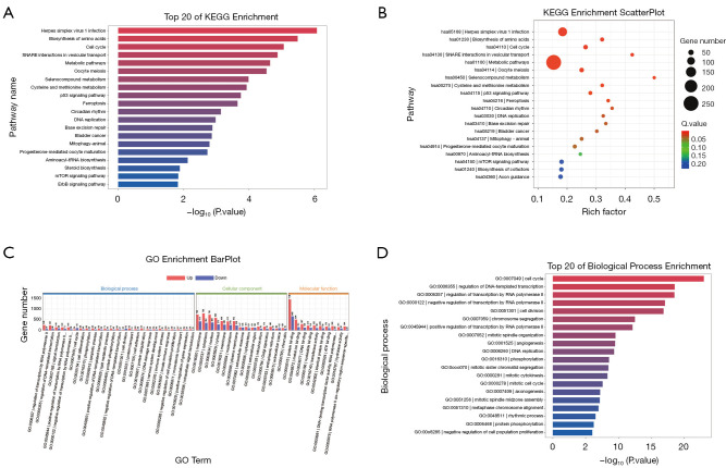 Enhanced antitumor efficacy of sorafenib and everolimus combination in pancreatic neuroendocrine neoplasms through mTOR inhibition.