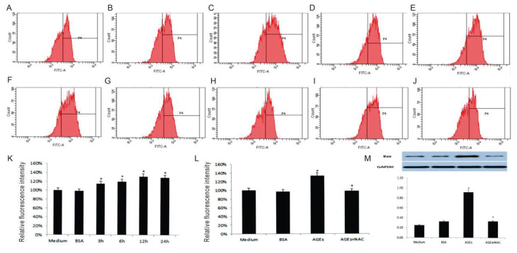 AGEs Inducing EPCs Apoptosis via ROS and p38 MAPK/JNK Pathways in Diabetic Vascular Complications.