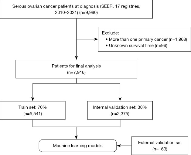 Machine learning-based prognosis prediction for serous ovarian cancer using the SEER database and data from a single center in China.