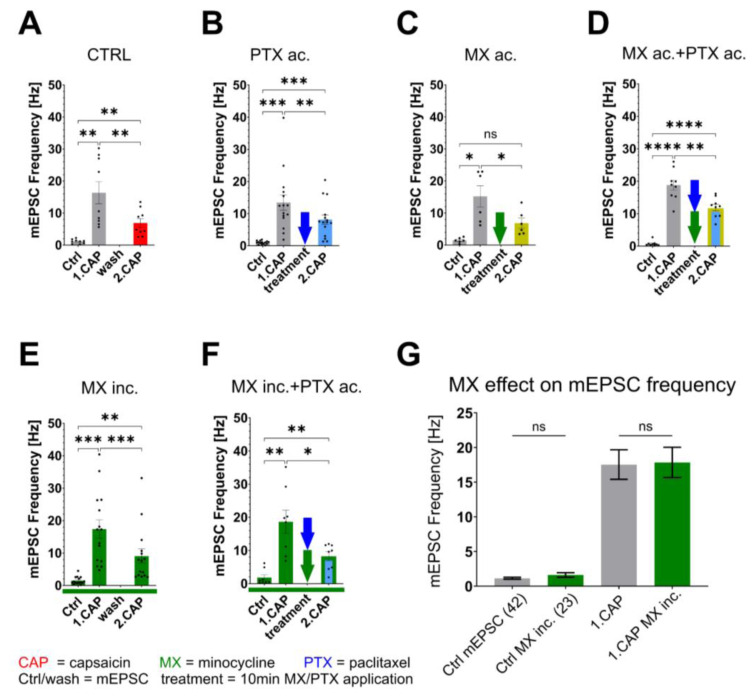 Glial Activation Enhances Spinal TRPV1 Receptor Sensitivity in a Paclitaxel Model of Neuropathic Pain.