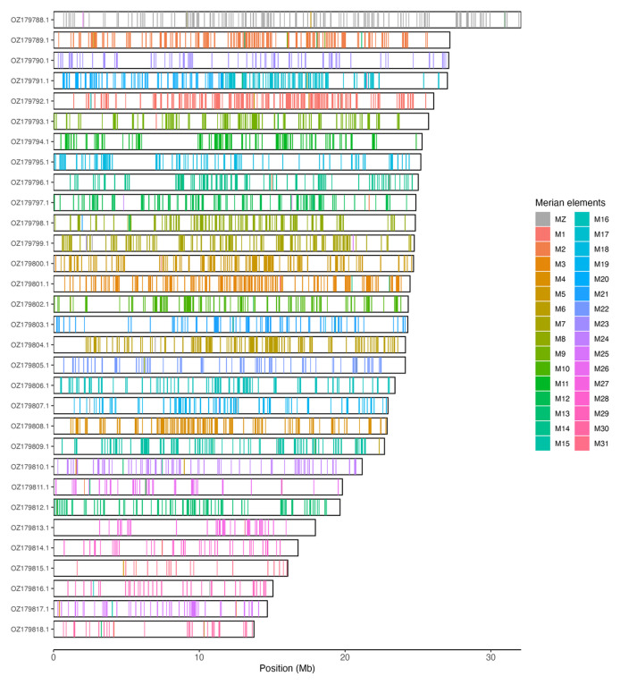 The genome sequence of the Pine Beauty, <i>Panolis flammea</i> (Denis & Schiffermüller), 1775 (Lepidoptera: Noctuidae).